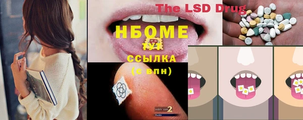 spice Дмитриев
