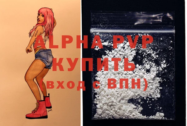 spice Дмитриев