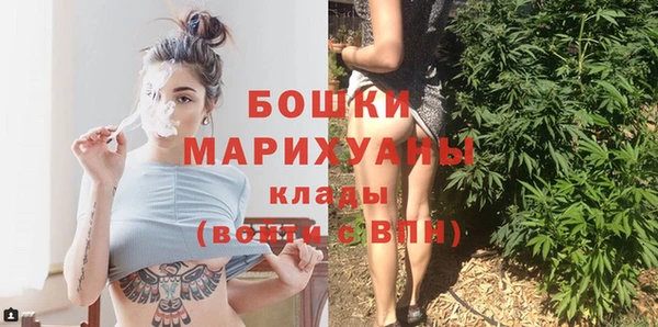 spice Дмитриев