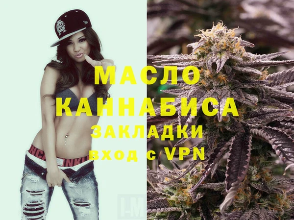 spice Дмитриев