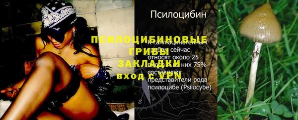 2c-b Дмитровск