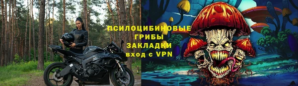 ECSTASY Дмитров