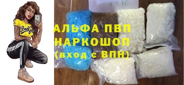 spice Дмитриев