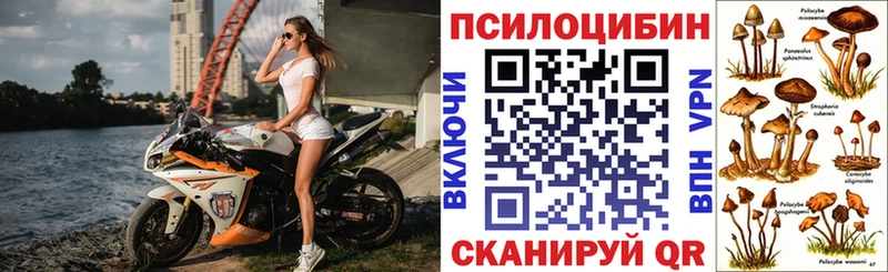 Галлюциногенные грибы Psilocybine cubensis  kraken сайт  Ессентуки 